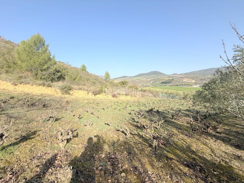 Foto 6c8bd515-f6b8-448c-97f0-7cc4edc837b3. Finca rústica a Cirauqui