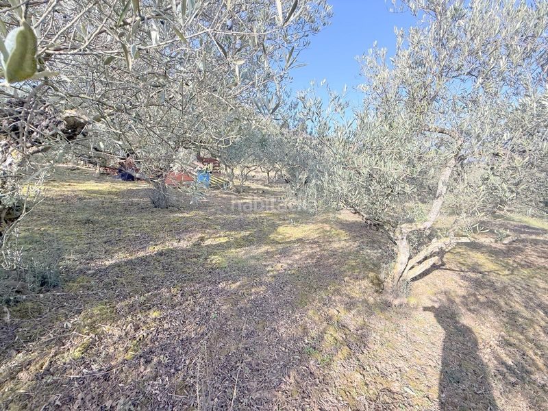 Foto 6e389191-e43d-49c5-8686-d979db953429. Finca rústica a Cirauqui