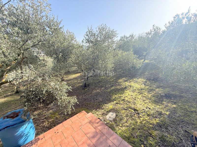 Foto 9b5d2c42-11ab-41e8-bc54-813f9b140025. Finca rústica a Cirauqui