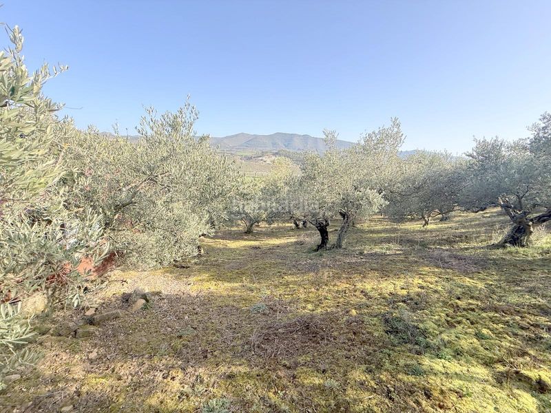 Foto d01cb382-2560-4d12-89a7-7cbb898825dc. Finca rústica a Cirauqui