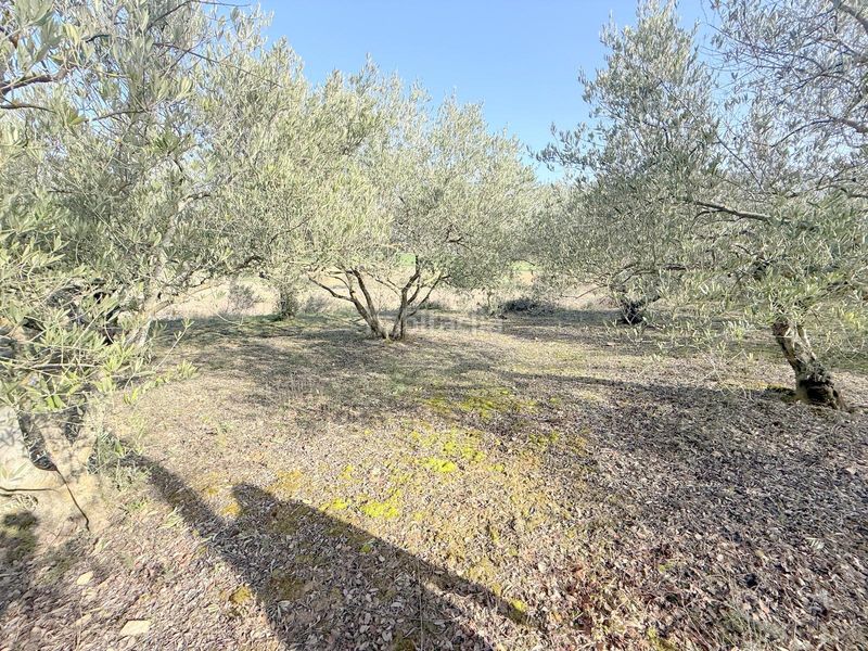 Foto d4c7cbb6-782f-475e-92d0-83f4d6342c96. Finca rústica a Cirauqui