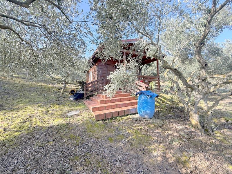 Foto eb998b50-06bd-45b7-bded-39e029ce57ed. Finca rústica a Cirauqui