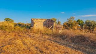 Rural plot in Llucmajor Interior