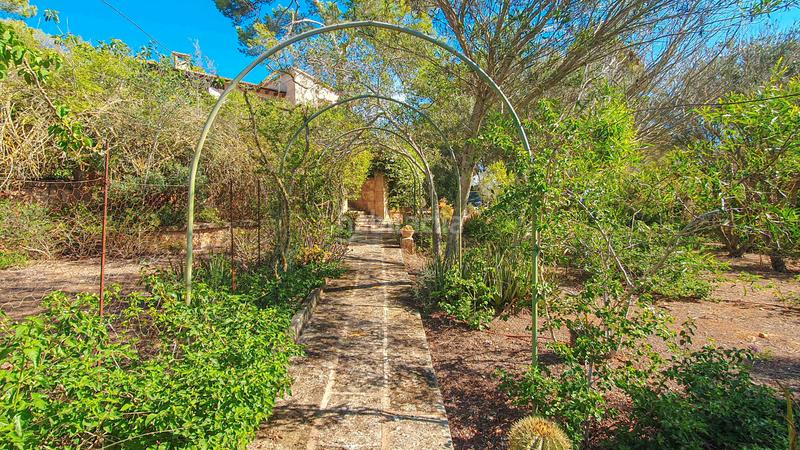 Foto 0affda89-4c87-4d25-9c09-b9ff8e55601d. Rent country house with fireplace parking pool in Ses Salines