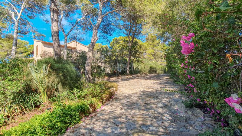 Foto 0bff1bab-96e2-4ad2-8f9d-859bdb8d2f72. Rent country house with fireplace parking pool in Ses Salines