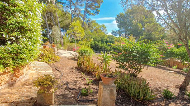 Foto 1f29b08d-b732-4157-9974-06e24731d1a2. Rent country house with fireplace parking pool in Ses Salines
