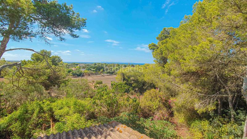 Foto 36129b73-04df-4206-80f3-dba7e3db9bbd. Rent country house with fireplace parking pool in Ses Salines