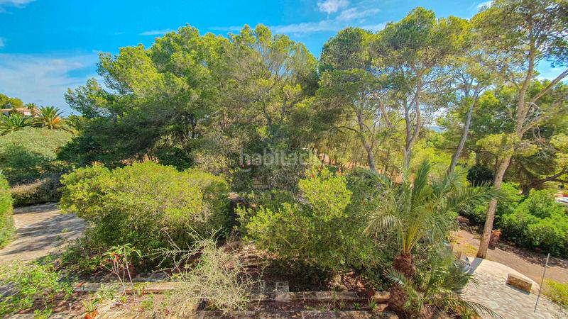 Foto 8460c552-3704-42de-933a-8aed8b61e5f6. Rent country house with fireplace parking pool in Ses Salines