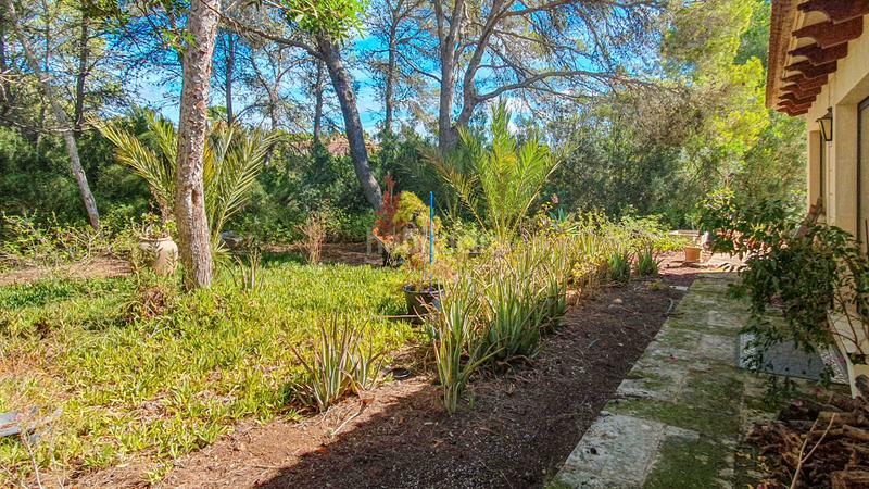 Foto b4da0323-2cab-48c0-a52c-46fdc26e59e9. Rent country house with fireplace parking pool in Ses Salines