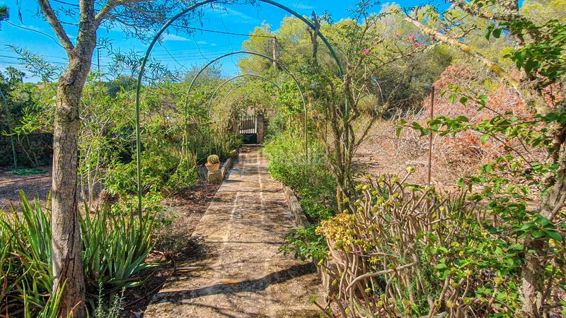 Foto cab3a15e-b35a-46a1-917c-92e32dab36d0. Rent country house with fireplace parking pool in Ses Salines