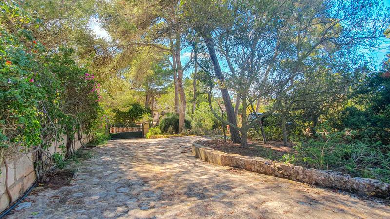 Foto dd6d9f79-c2d6-4a78-bc4a-698a6246c7eb. Lloguer masia amb xemeneia aparcament piscina a Colònia Sant Jordi Ses Salines