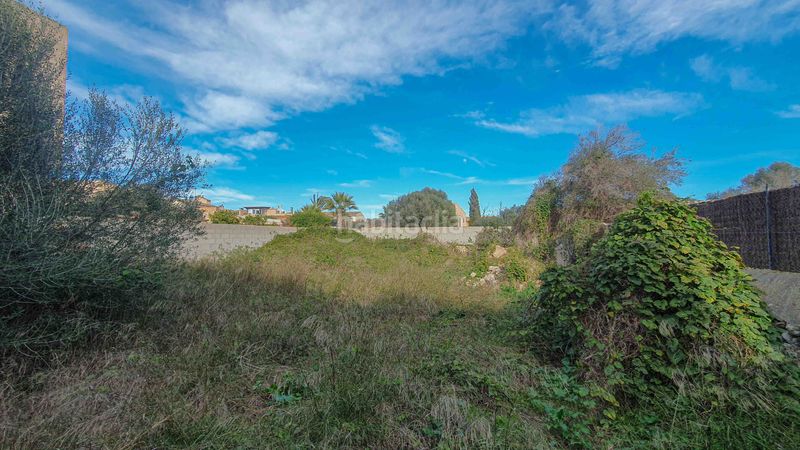Foto 28ac2329-107b-4884-824f-ce2a13013312. Terreny residencial a Es Llombards Santanyí