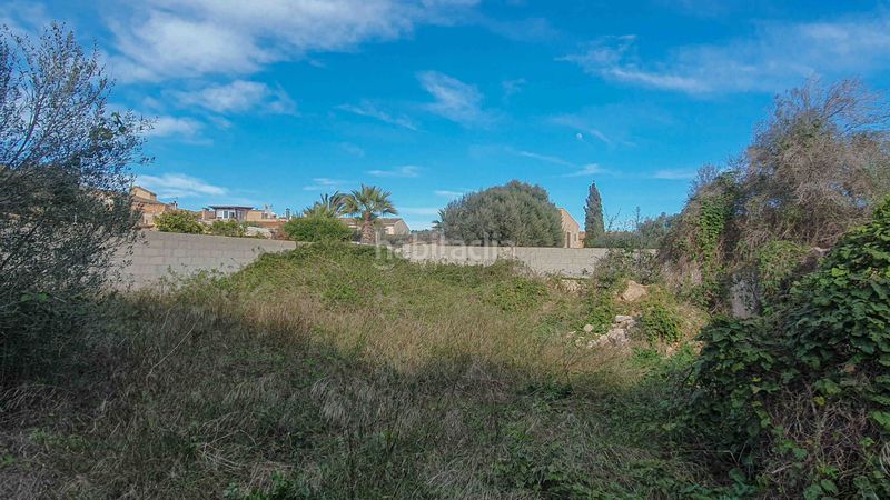 Foto 3687c9e1-49dd-4e9f-ab69-078e643d08e7. Terreny residencial a Es Llombards Santanyí