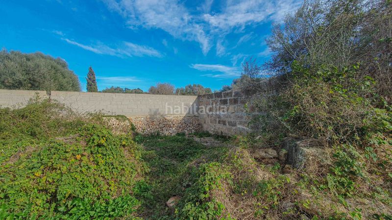 Foto a83702a2-3b73-4dd8-9a48-05cf763116dd. Terreny residencial a Es Llombards Santanyí