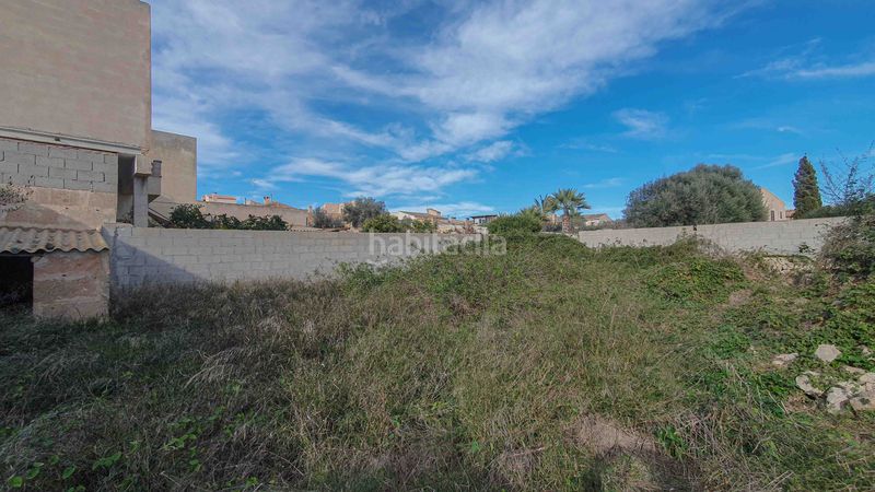Foto fbce5335-2281-4406-af4c-96d0b5353e90. Terreny residencial a Es Llombards Santanyí
