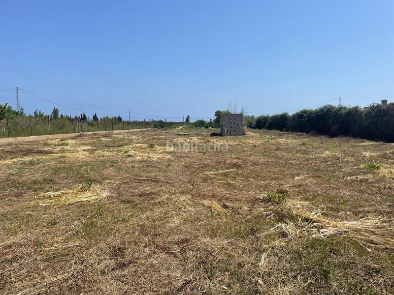 Foto 9ed3a701-46ff-47ff-a091-c91a823d33e1. Finca rústica a plaça numero 74 107 a Bulevar del Xúquer Cullera