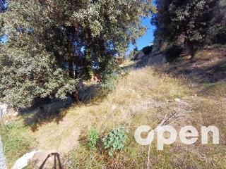 Propriété  Mussol, del. Casa gran oportunidad en la calle mussol en la tranquila zona de