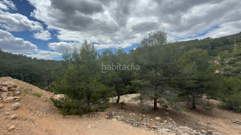 Foto b7ede6da-06f0-49da-aa7f-e323fec47706. Terreny residencial a Centro Chiva