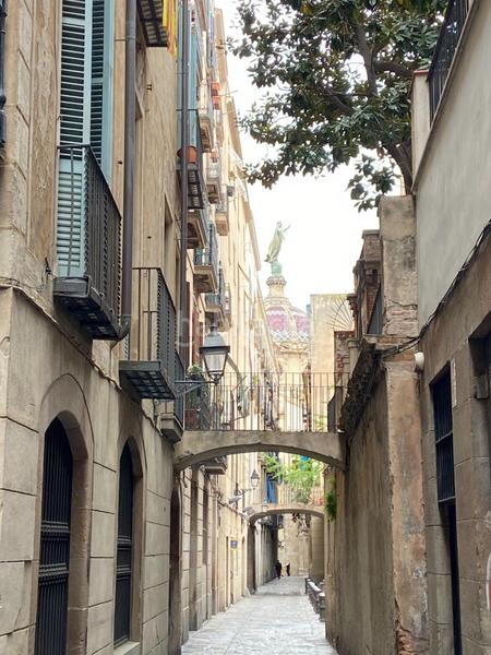 Foto 07a319c2-d6b2-4683-b923-171a5469d0a7. Edificio in Gòtic Barcelona