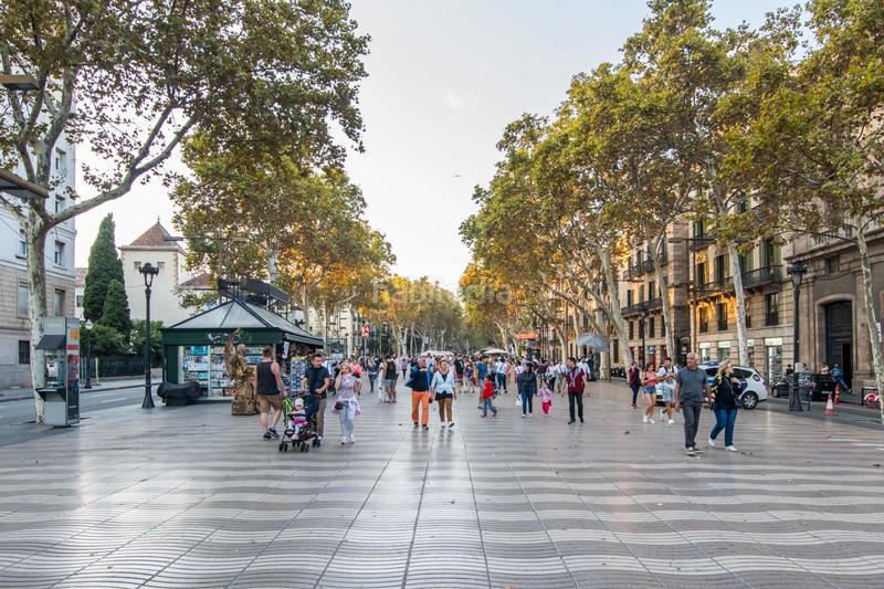 Foto 9772226b-a460-4879-9bcb-43c88fe12e80. Edificio in Gòtic Barcelona