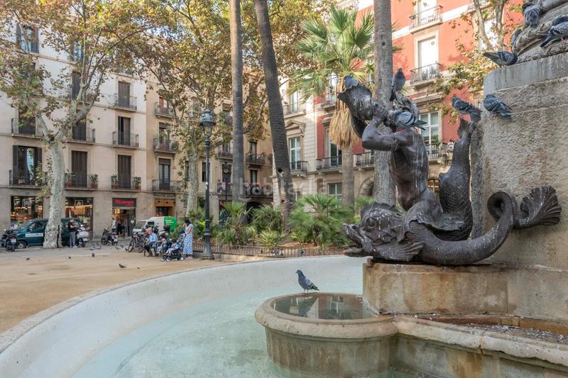 Foto 070ffe05-b2b2-4b02-810e-a51a6d3b4095. Piso  en paseo colón en Gòtic Barcelona