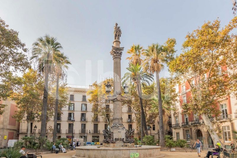 Foto d0cb367f-67f8-4281-a6a9-22ca4fc68b1a. Pis a Gòtic Barcelona