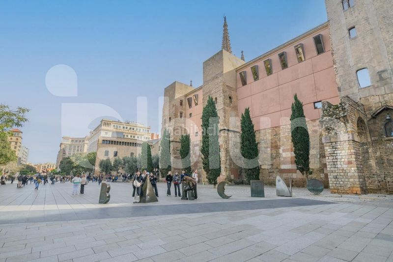 Foto 545d8834-16b2-4da9-8bb6-3ac54e3378c0. Pis amb calefacció a Gòtic Barcelona