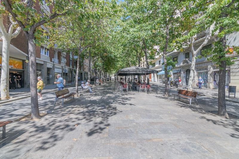 Foto 2f79a1e7-65ce-4319-95f5-a3c9981d7e05. Pis a Sagrada Família Barcelona