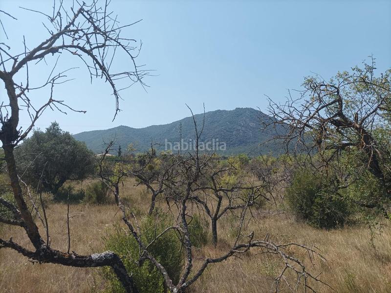 Foto 12d9a93d-876f-4464-a422-b8c33468bad1. Terreno residencial parcela en venta , navarra en Ayegui