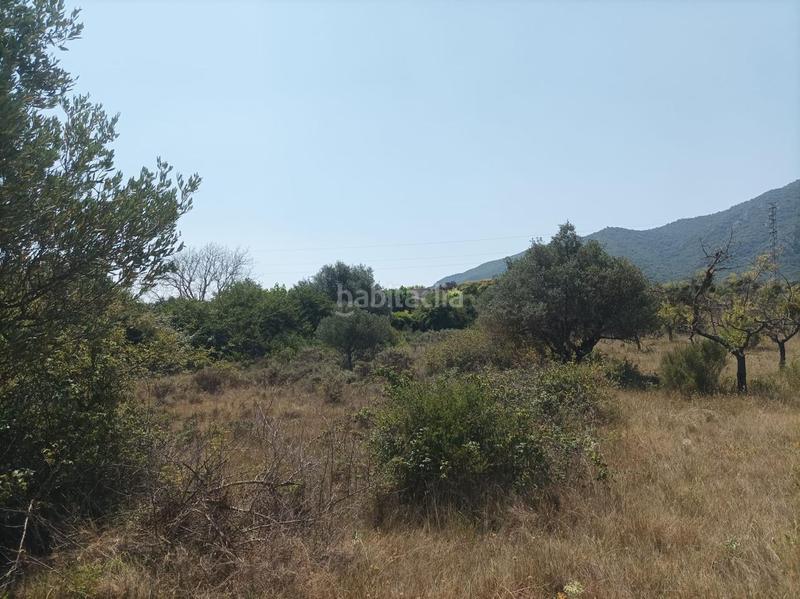 Foto 3fd8ade3-e7ff-41d3-88f3-6747ed970c17. Terreno residencial parcela en venta , navarra en Ayegui