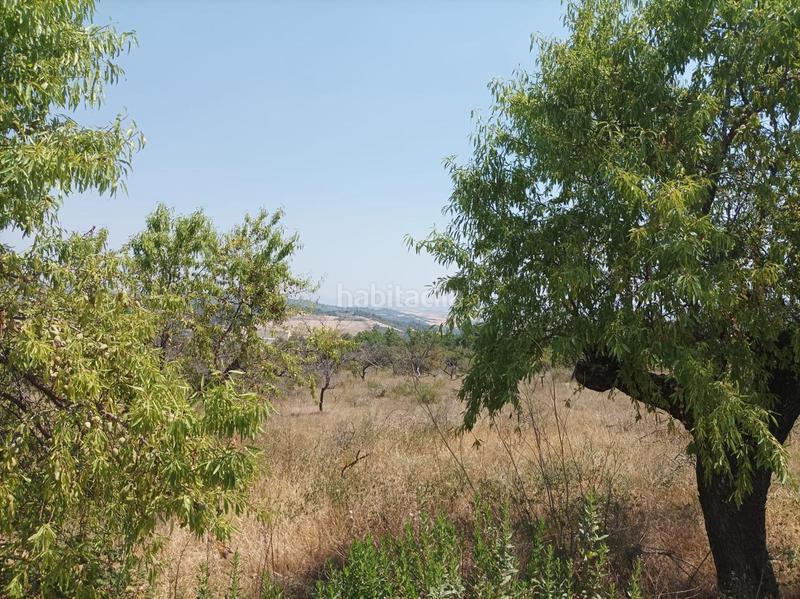 Foto 67e884cf-182b-4d40-aecf-01df4e7e202b. Terreno residencial parcela en venta , navarra en Ayegui