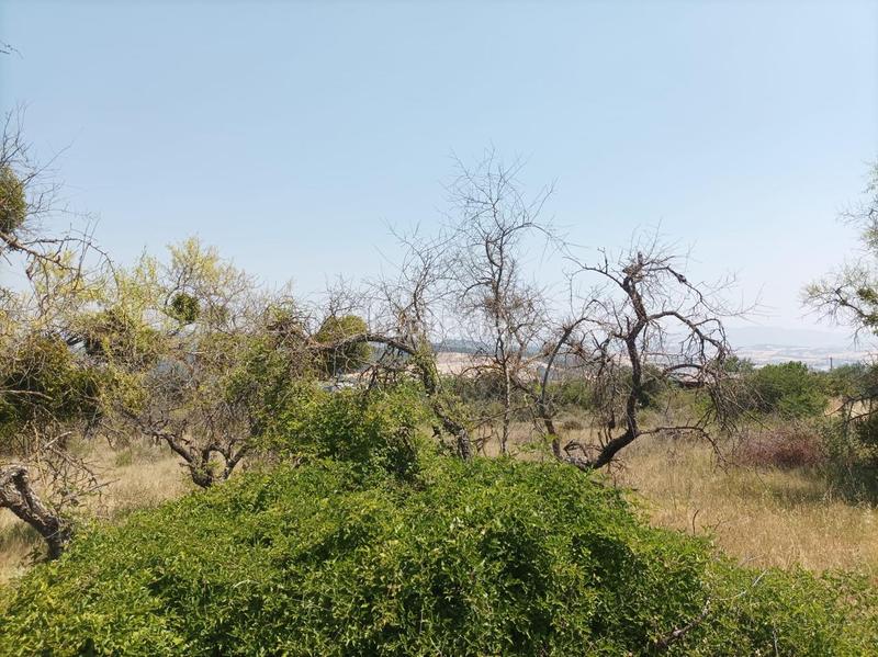 Foto f21efd0d-0d59-46c3-b1d1-e7dbe1b40b8a. Terreno residencial parcela en venta , navarra en Ayegui