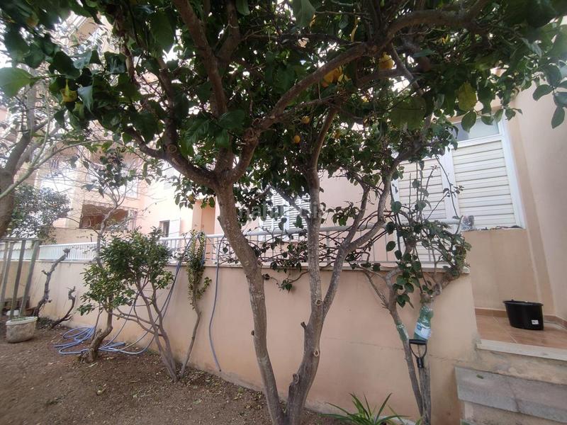 Foto 716d0411-16c8-4ca8-96a0-24e72fdc2c7a. Alquiler planta baja fantástica planta baja de 200m2 en alquiler larga estancia en Llucmajor