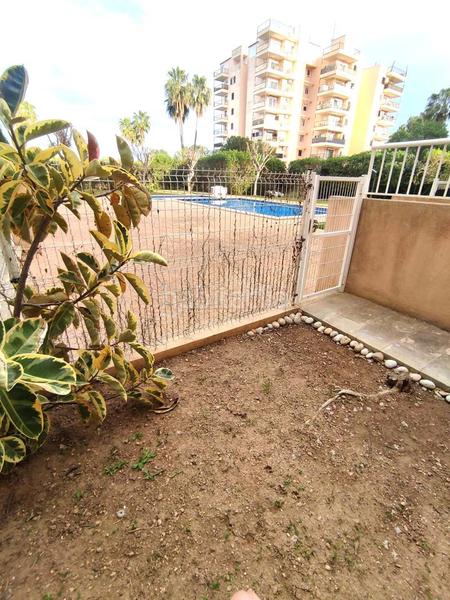 Foto ba67edce-2695-494f-ad1e-61be9890f1da. Alquiler planta baja fantástica planta baja de 200m2 en alquiler larga estancia en Llucmajor