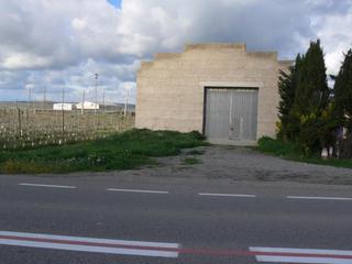 Nau industrial  C 53. Nave indsutrial  plantación de frutales