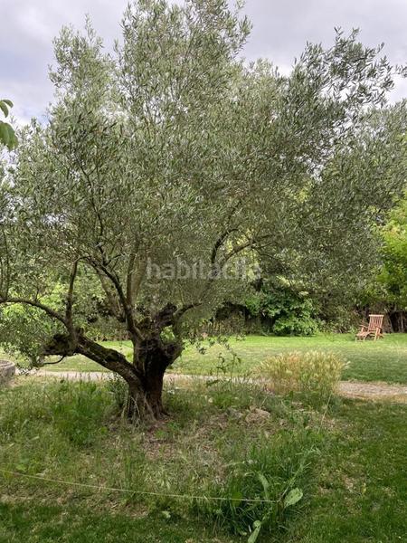 Foto 38fdf501-bb01-437c-bc67-97e31576bb7a. Casa se vende finca de recreo de 1.800 m en Badostain navarra en Valle de Egüés / Eguesibar