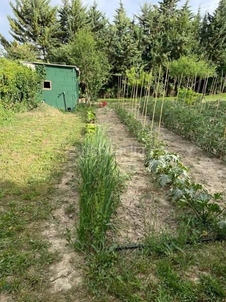 Foto 541f12f3-d8ab-4924-8335-bac23fa00a35. Casa se vende finca de recreo de 1.800 m en Badostain navarra en Valle de Egüés / Eguesibar