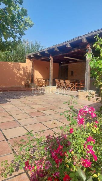 Foto e162cd66-2d9f-4534-bd4e-1a39ad126c34. Casa se vende finca de recreo de 1.800 m en Badostain navarra en Valle de Egüés / Eguesibar