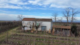 House  C-53. Finca con casa de campo