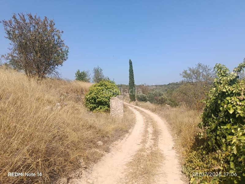 Foto bc6945d1-a762-4ac0-b271-2aa6e87caa5b. Terreny residencial a Batea