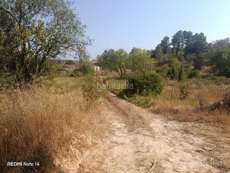 Foto e6bdd919-7aba-4b3a-a07e-5856c8290a47. Terreny residencial a Batea