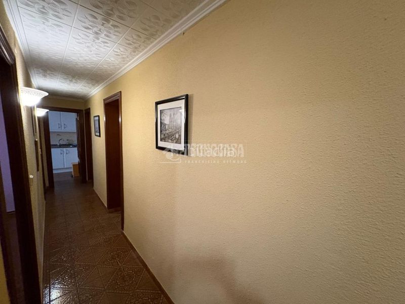 Foto d260fcf5-4dc7-4cb7-add5-7950ed4679a2. Pis a Virgen del Remedio - Parque Lo Morant Alicante