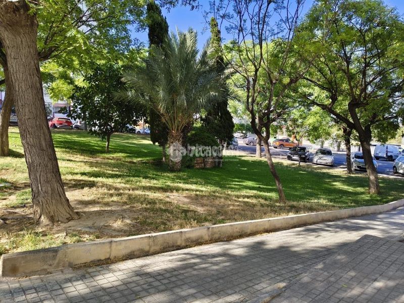 Foto f5ea96e2-13f0-4dc3-9af8-11510bef313e. Pis a Virgen del Remedio - Parque Lo Morant Alicante