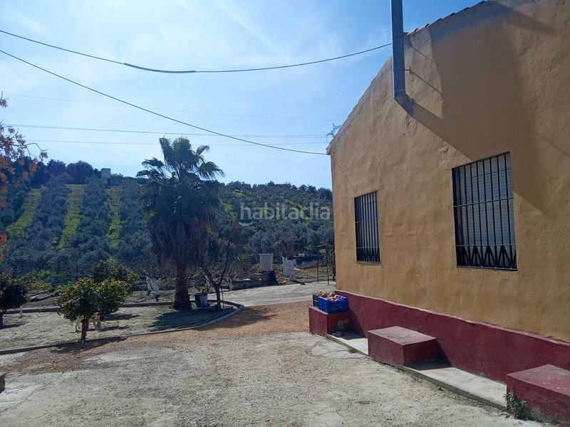 Foto 02967b63-4778-4451-9d2f-82567e88668e. Finca rústica en calle miguel delibes 8 en Valencina de la Concepción