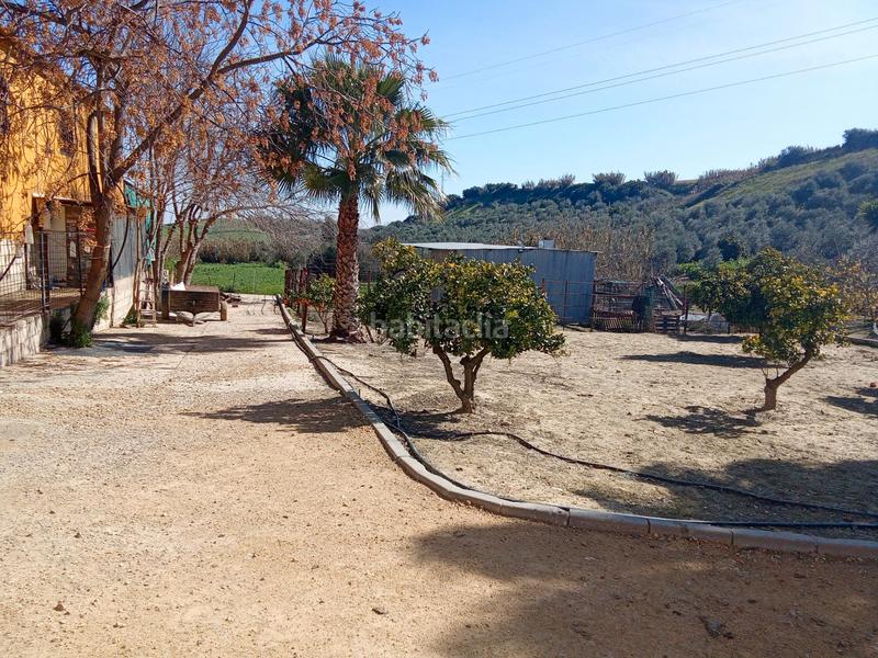 Foto 138ecb5d-a7f0-4fbf-bfde-7ad38df42350. Finca rústica en calle miguel delibes 8 en Valencina de la Concepción