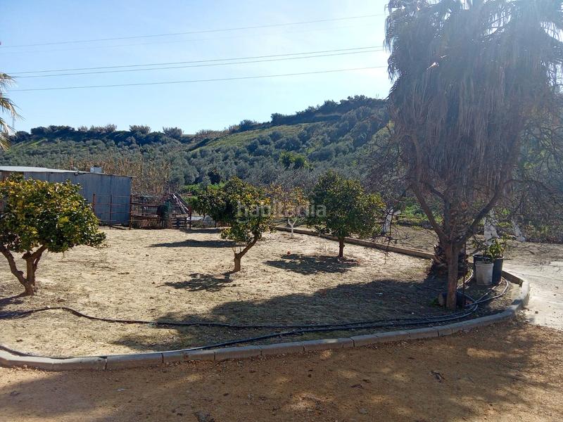 Foto 2f65736c-6054-4cab-a2e6-502e4a86e109. Finca rústica en calle miguel delibes 8 en Valencina de la Concepción