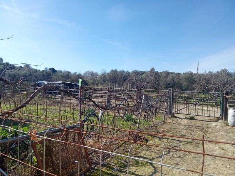 Foto 701cbf61-ec0e-48d6-aa90-c1d66768c20d. Finca rústica en calle miguel delibes 8 en Valencina de la Concepción