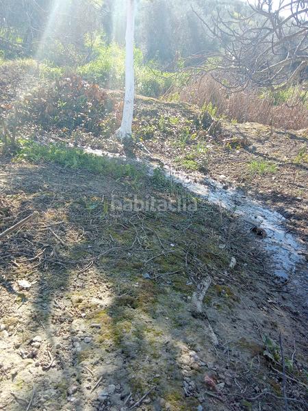 Foto d1b01818-6478-4796-b72e-07e8944879f5. Finca rústica en calle miguel delibes 8 en Valencina de la Concepción