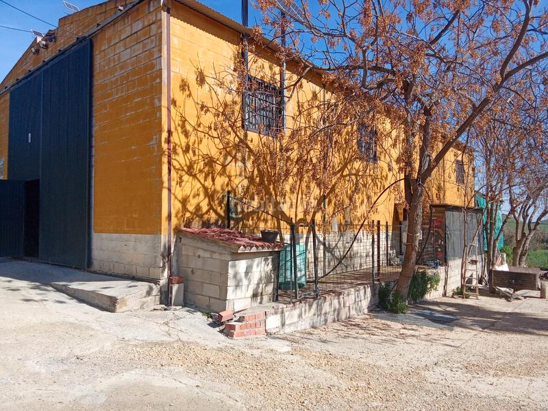 Foto d7adbc9d-8ae7-44d4-a1a2-eb4a97d34603. Finca rústica en calle miguel delibes 8 en Valencina de la Concepción