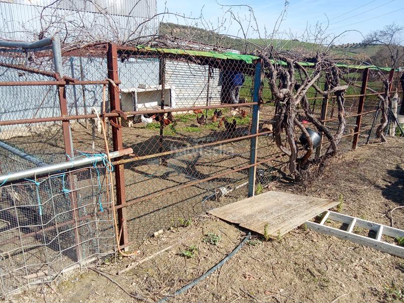 Foto dfcce555-019f-4048-80df-ac20d9edc725. Finca rústica en calle miguel delibes 8 en Valencina de la Concepción